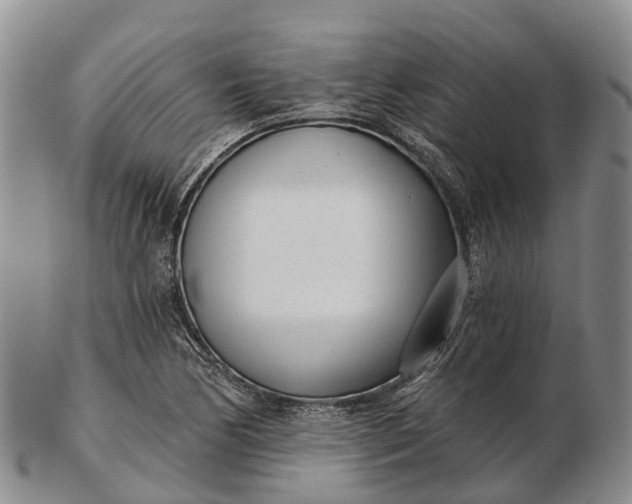 X0000103261170200809121916