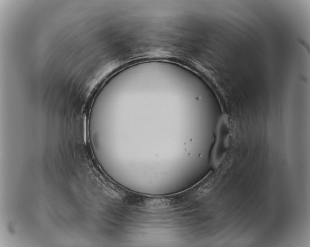 X0000103261171200809121916