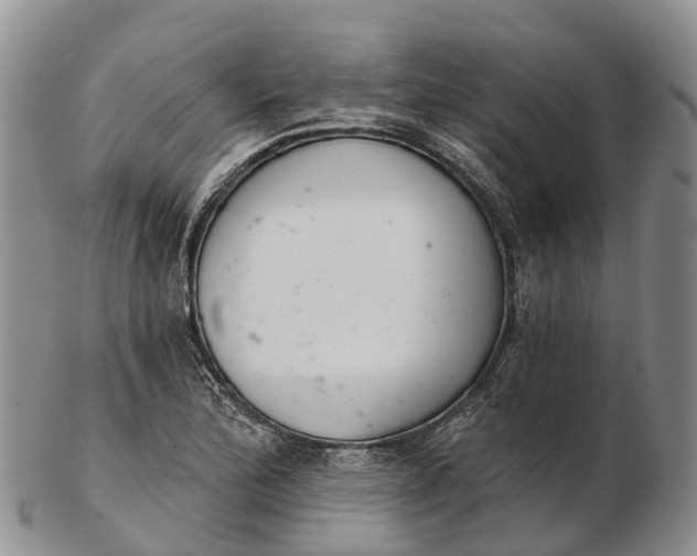 X0000103261172200809121916