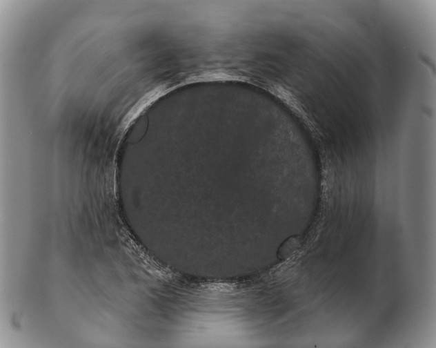 X0000103261173200809121916