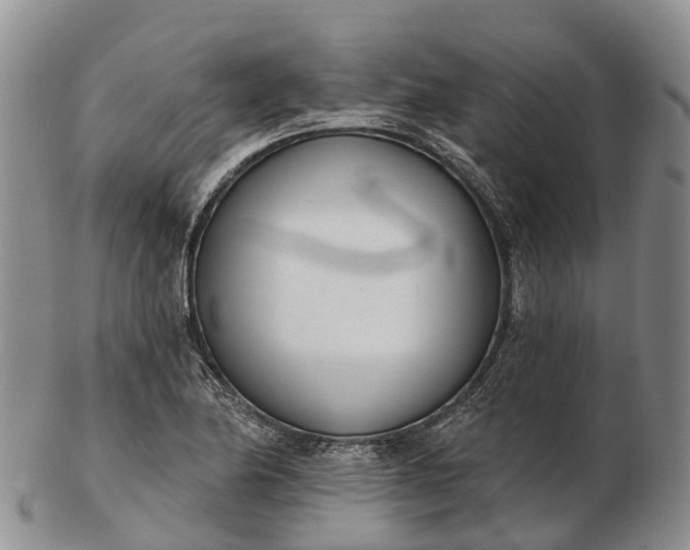 X0000103261174200809121916