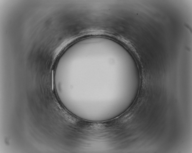 X0000103261175200809121916