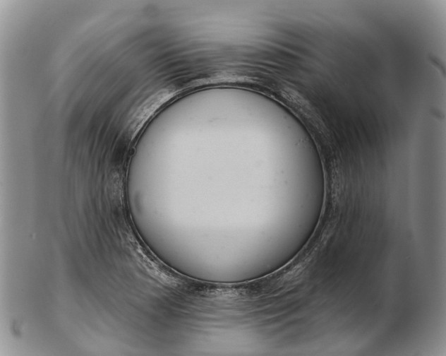 X0000103261177200809121916