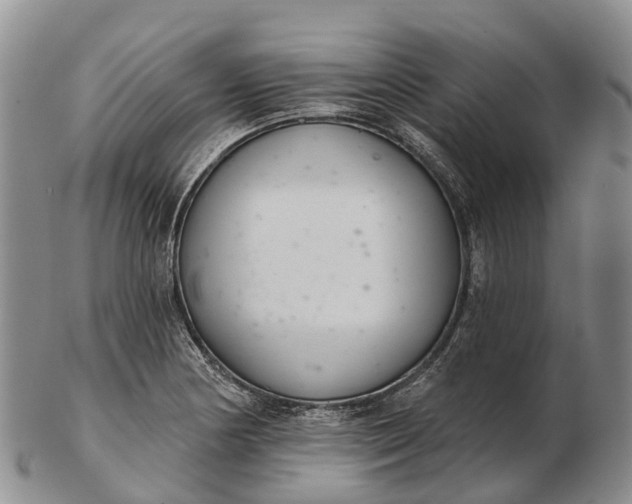 X0000103261178200809121916