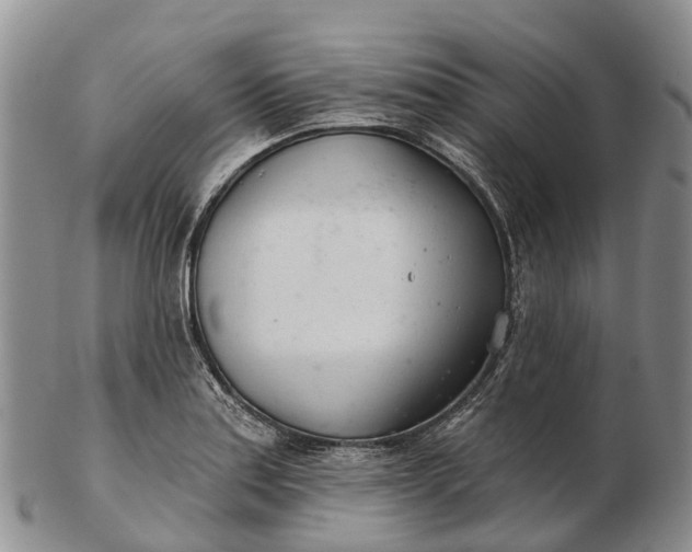 X0000103261179200809121916