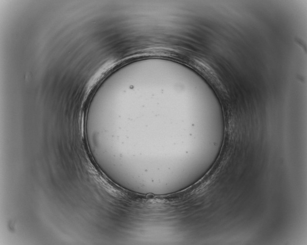 X0000103261180200809121916