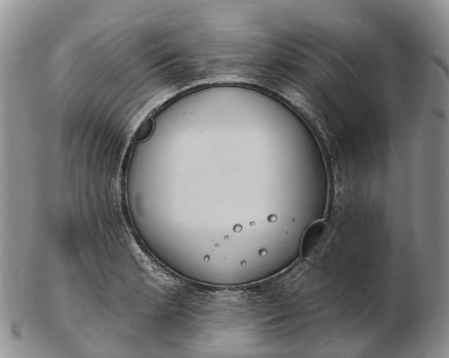 X0000103261181200809121916