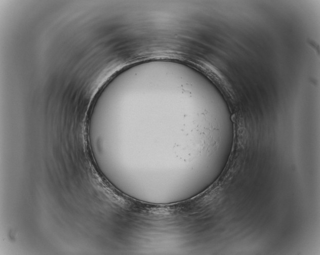 X0000103261182200809121916