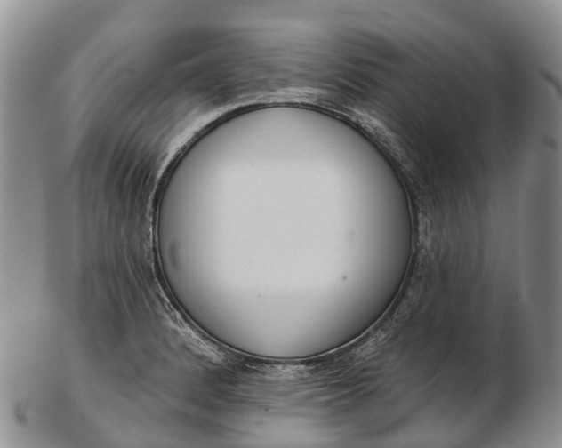 X0000103261184200809121916