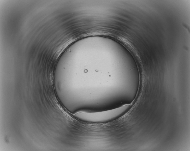 X0000103261185200809121916