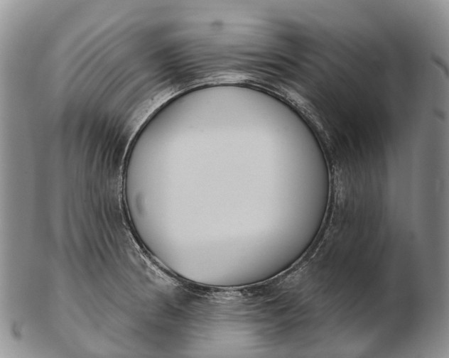 X0000103261186200809121916