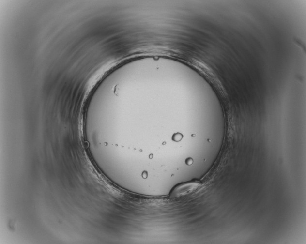 X0000103261188200809121916