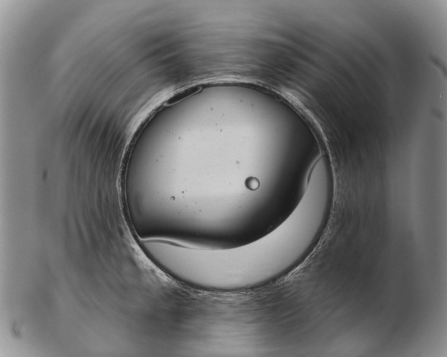 X0000103261189200809121916