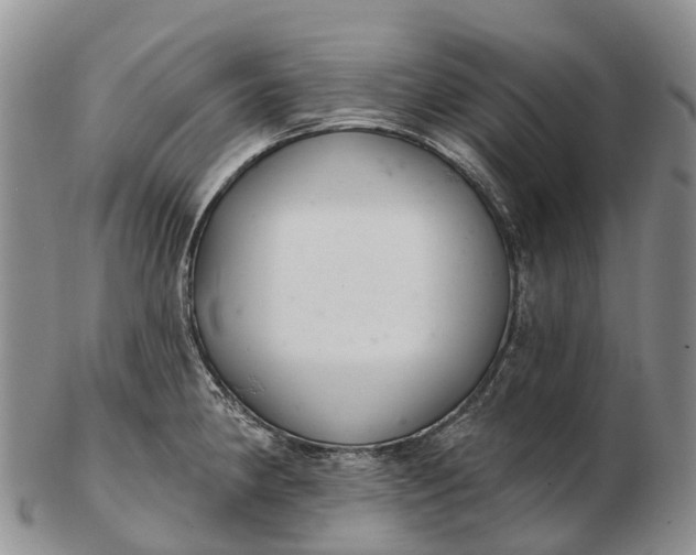 X0000103261190200809121916