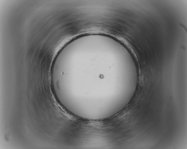 X0000103261191200809121916