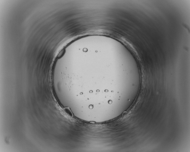 X0000103261192200809121916