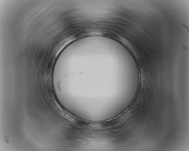 X0000103261194200809121916