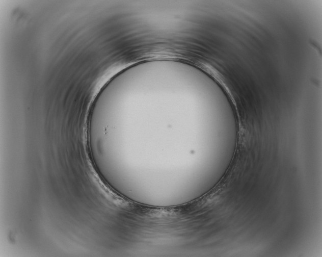 X0000103261195200809121916