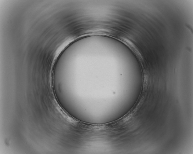 X0000103261196200809121916