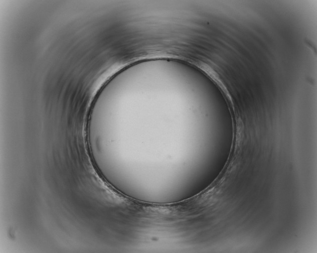 X0000103261197200809121916