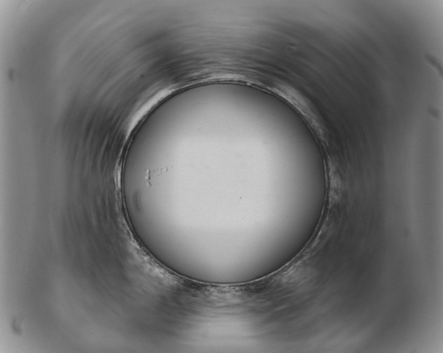 X0000103261198200809121916