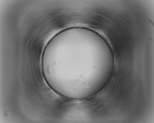 X0000103261199200809121916