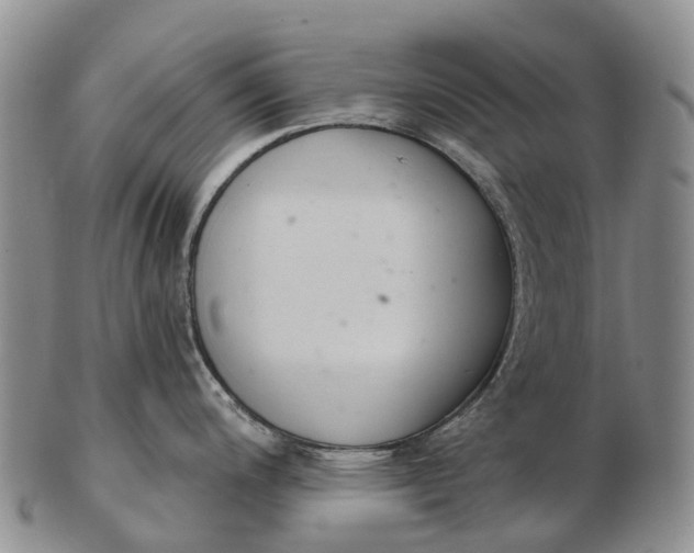 X0000103261200200809121916