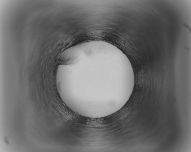 X0000103261201200809121915