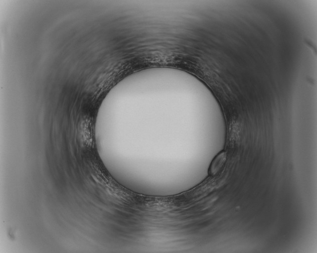 X0000103261202200809121915