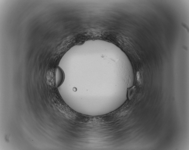 X0000103261203200809121915