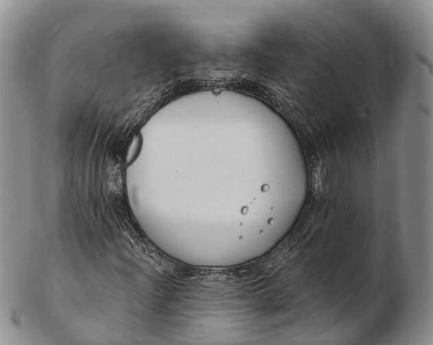 X0000103261204200809121915