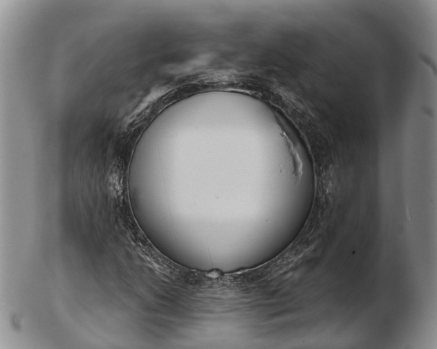 X0000103261206200809121915