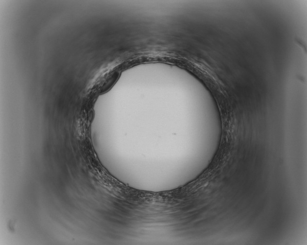 X0000103261207200809121915