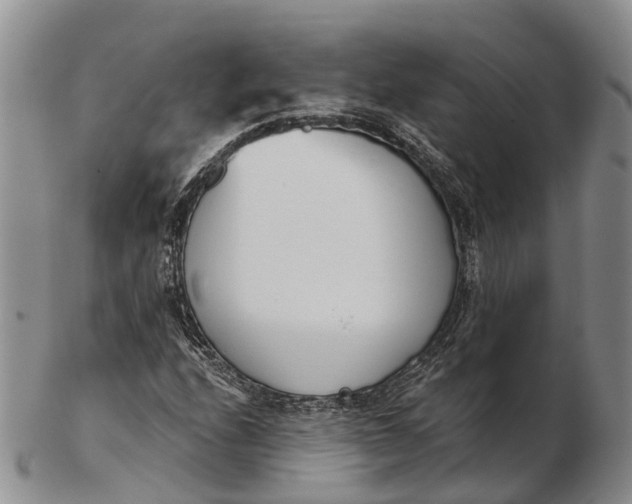 X0000103261208200809121915