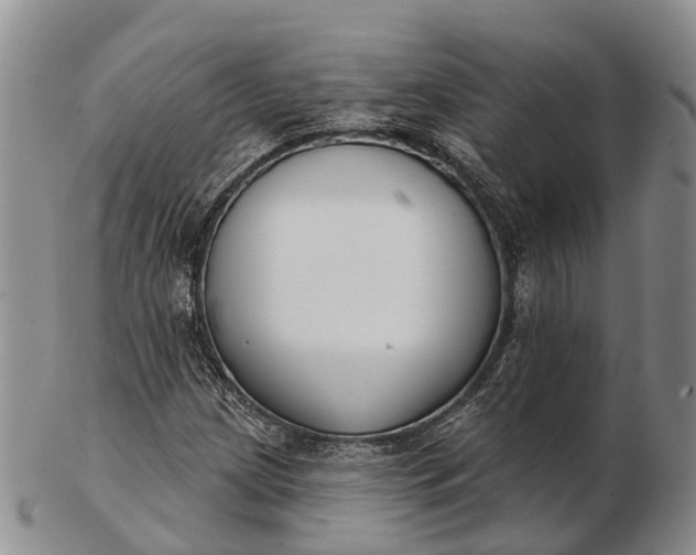 X0000103261209200809121915