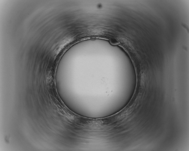 X0000103261210200809121915