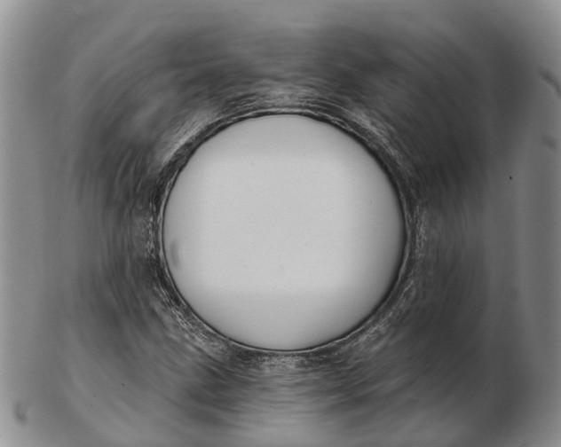 X0000103261211200809121915