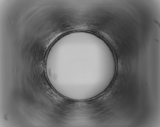 X0000103261212200809121915