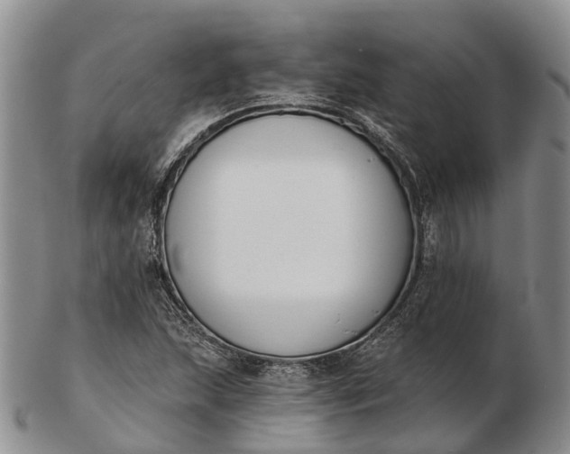 X0000103261215200809121915