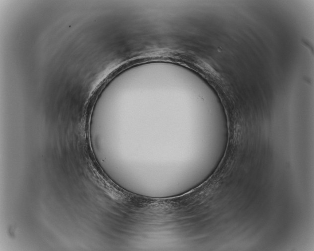 X0000103261216200809121915