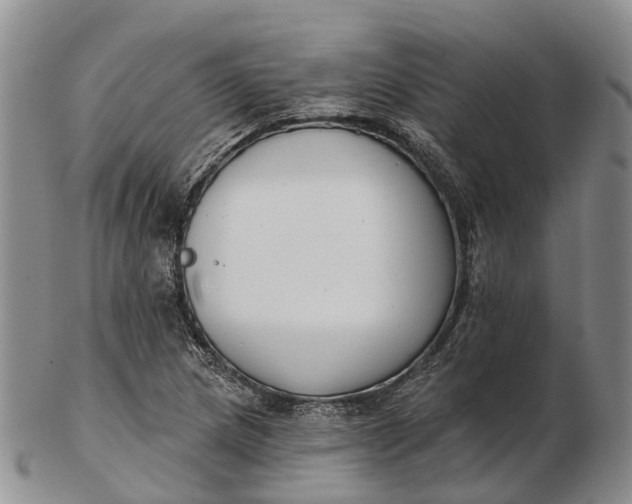 X0000103261217200809121915