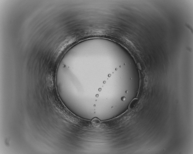 X0000103261218200809121915