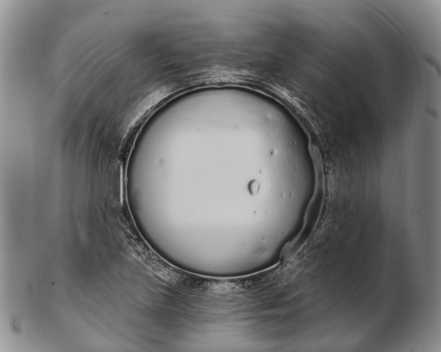 X0000103261219200809121915