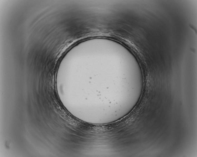 X0000103261220200809121915