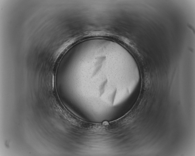 X0000103261221200809121915