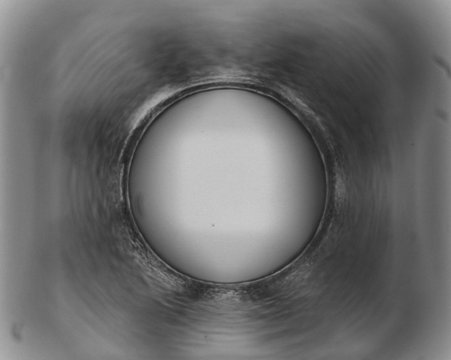 X0000103261222200809121915