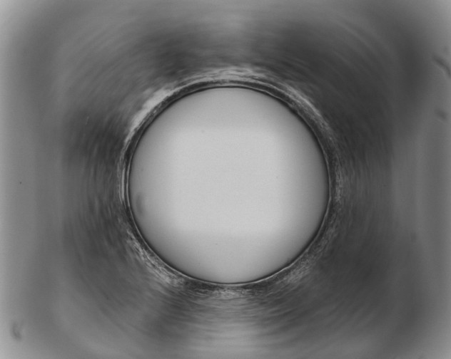 X0000103261224200809121915