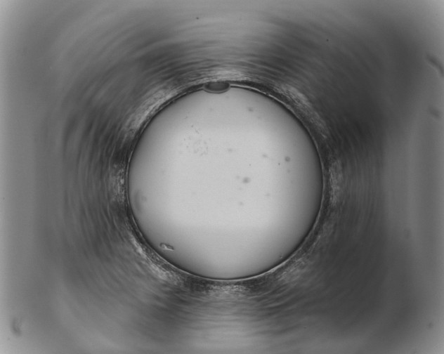 X0000103261225200809121915