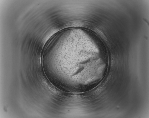 X0000103261226200809121915