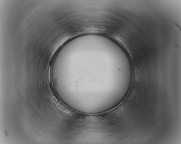 X0000103261227200809121915